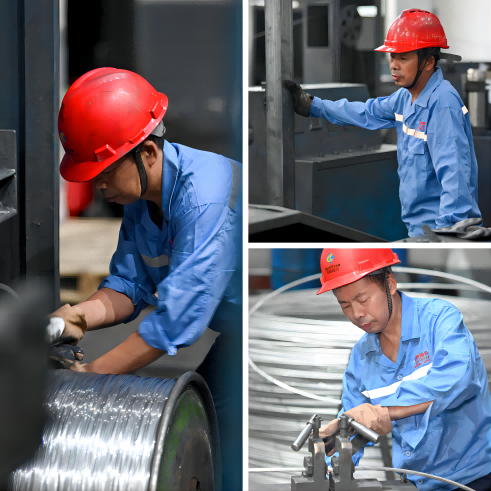 1719565247722548fATA.png WPS拼图0(1).png